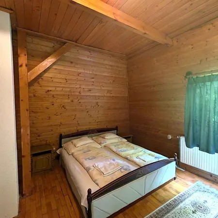 In - Velence-see 20604 *